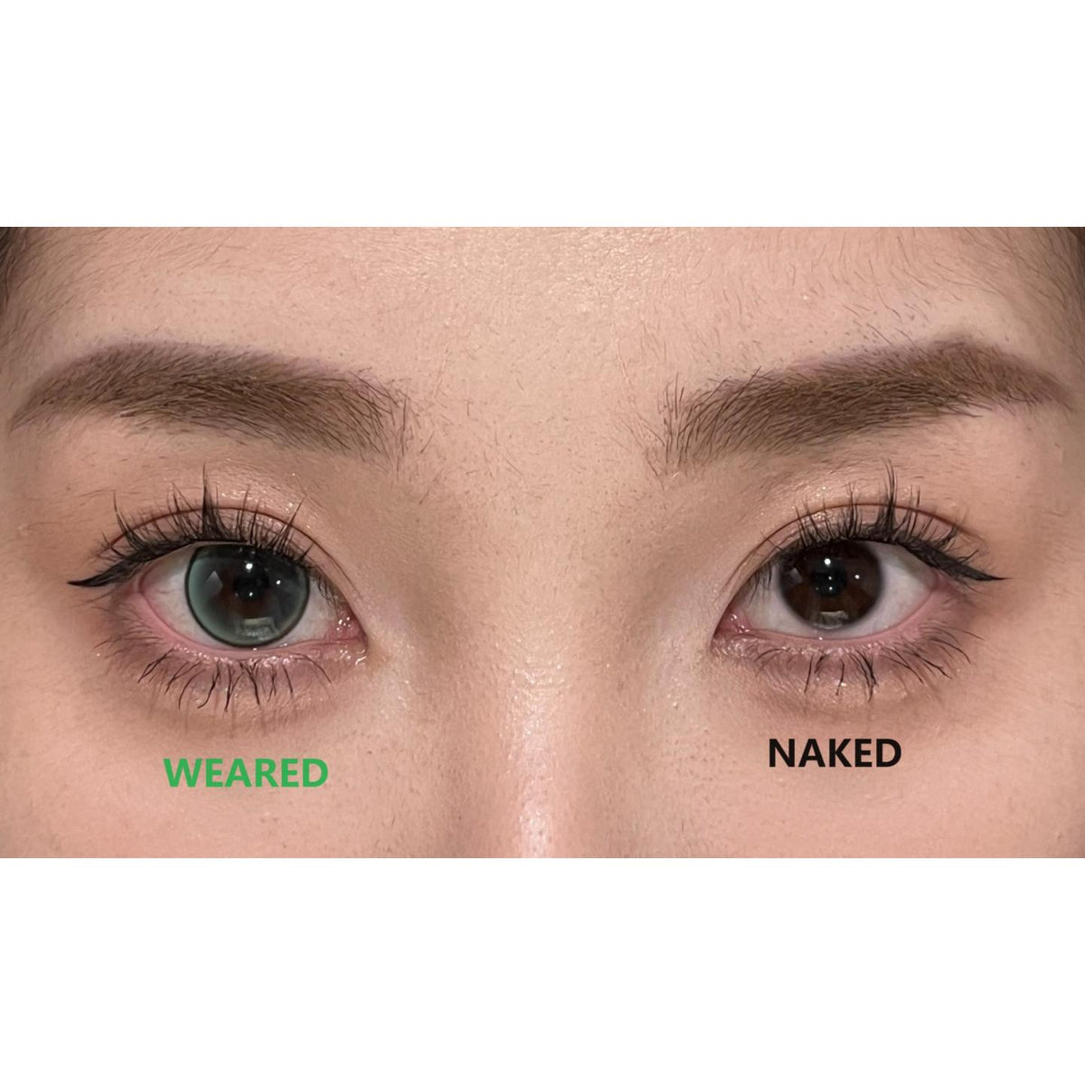 TQXGOU BOOSCON 14.20mm Green Colored Contact Lenses (6 Months Wear)