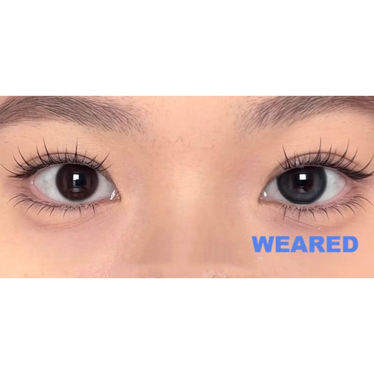 XYLSHAN FLLYCON 14.20mm Blue Colored Contact Lenses (6 Months Wear)