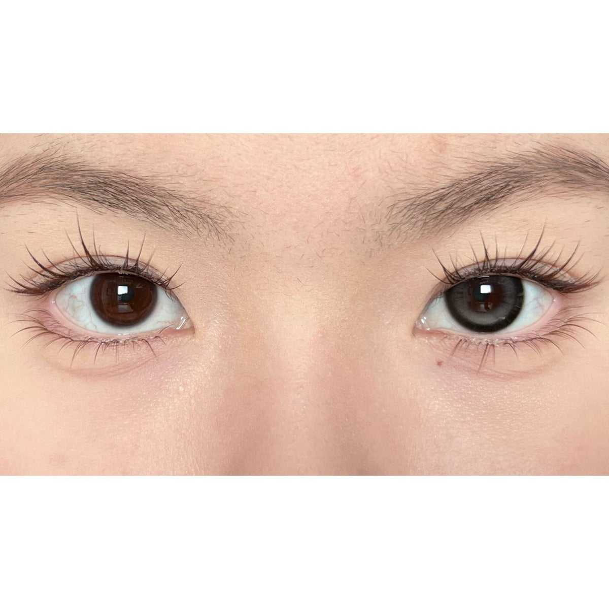 DDGUI thestarlens คอนแทคเลนส์สี ขนาด 14.50 มม. สีเทา (ใช้งานได้ 6 เดือน)