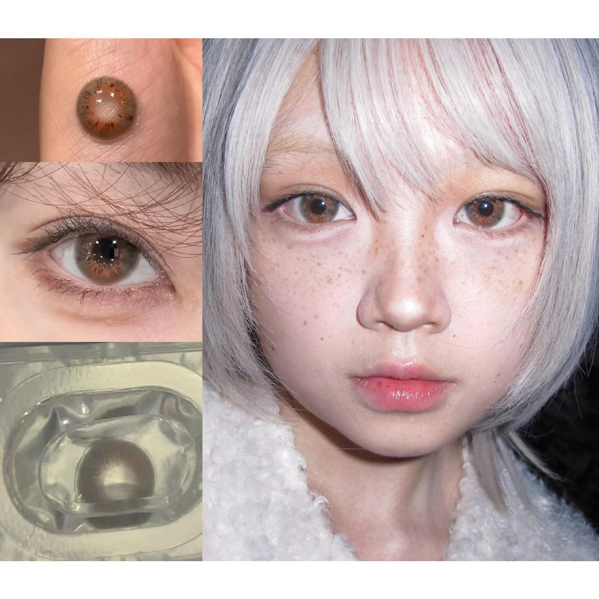 SGEN PORSLEN 14.20mm Green Colored Contact Lenses (6 Months Wear)