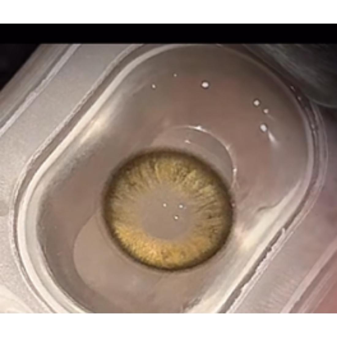 NMQSHUI Serltyca 14.20mm Brown Colored Contact Lenses (6 Months Wear)