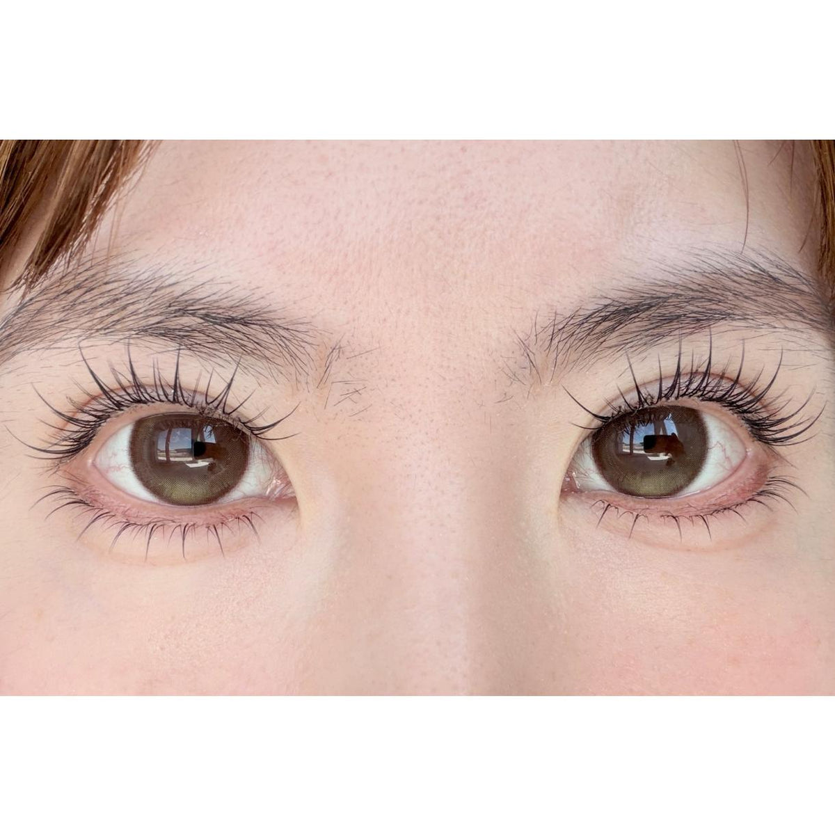 WMGLAN Tinacon 14.50mm Olive Colored Contact Lenses (6 Months Wear)