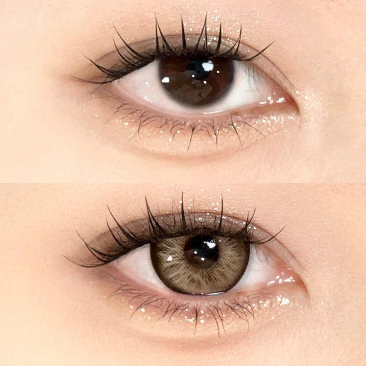 FKYBAO PORSLEN 14.50mm Brown Colored Contact Lenses (6 Months Wear)