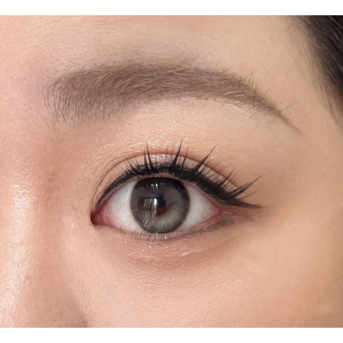 YLYGUANG thestarlens 14.50mm Black Colored Contact Lenses (6 Months Wear)