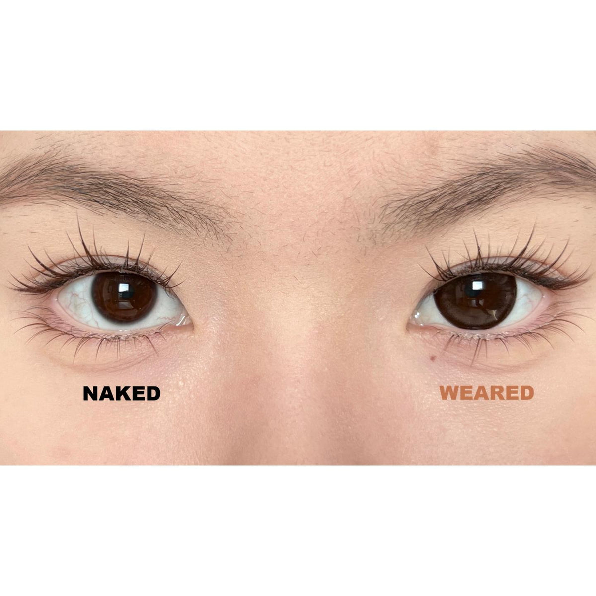 SLNYOU thestarlens 14.50mm Brown Colored Contact Lenses (6 Months Wear)