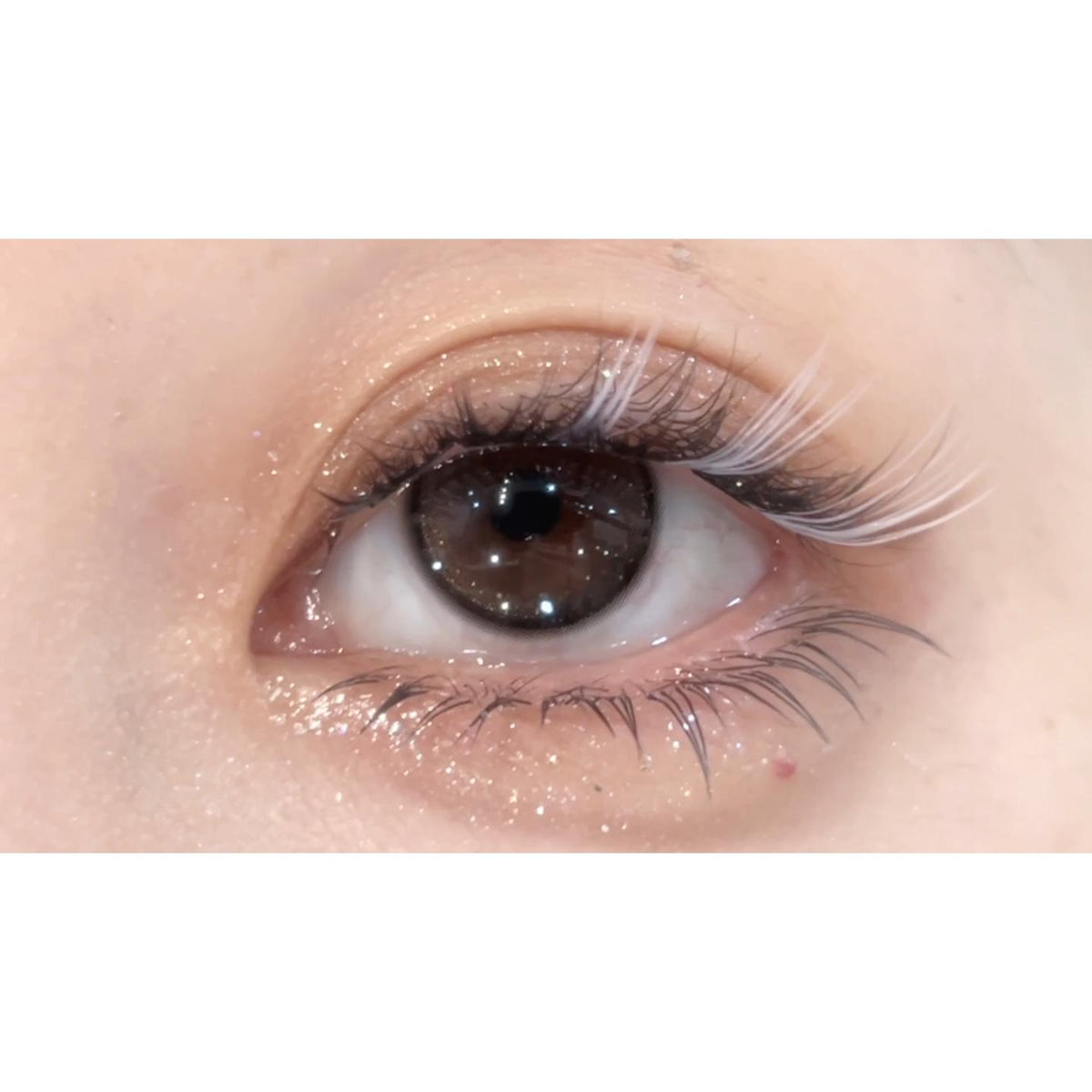 TCXXING thestarlens 14.20mm Black Colored Contact Lenses (6 Months Wear)
