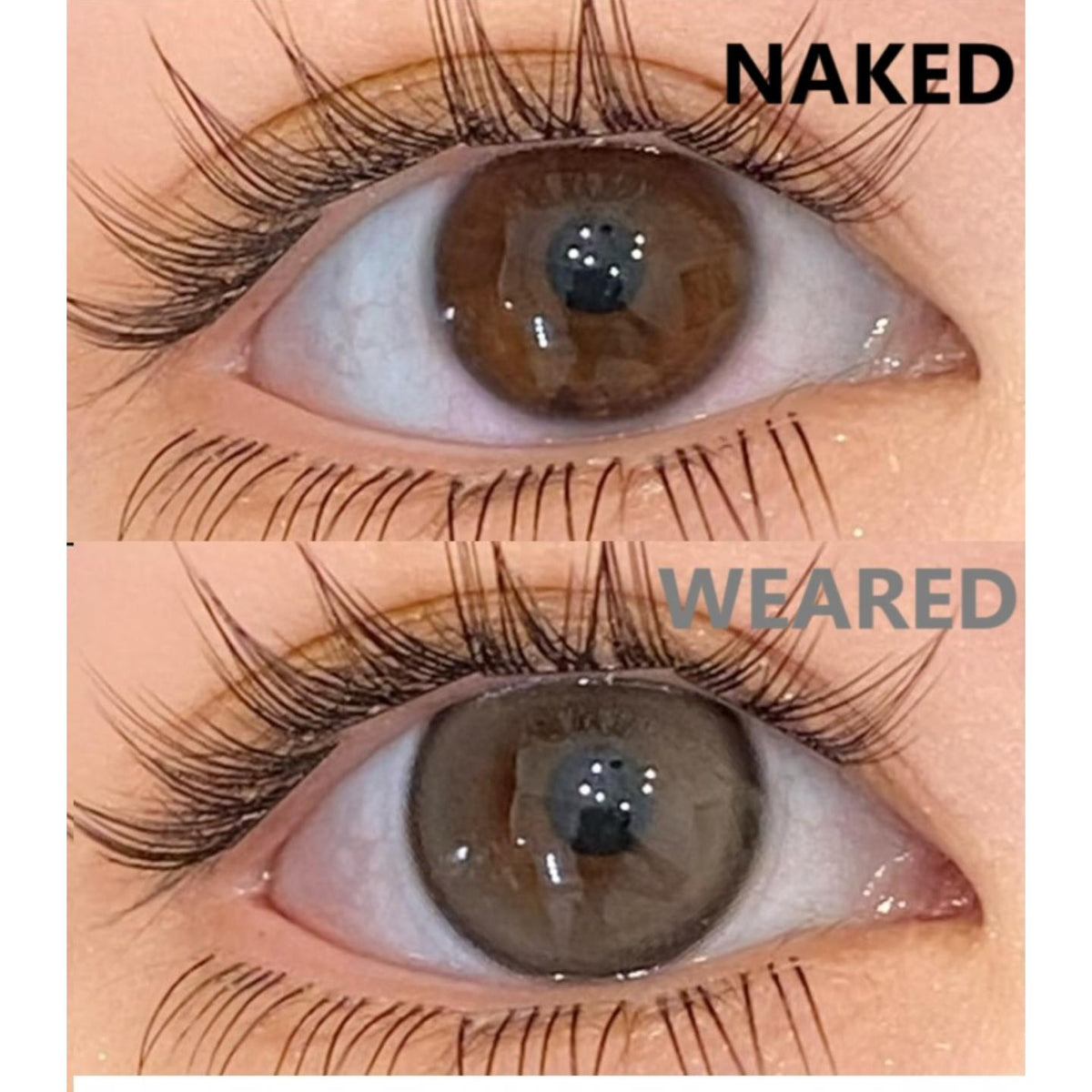 BHBNENG MorningCon 14.50mm Brown Colored Contact Lenses (6 Months Wear)