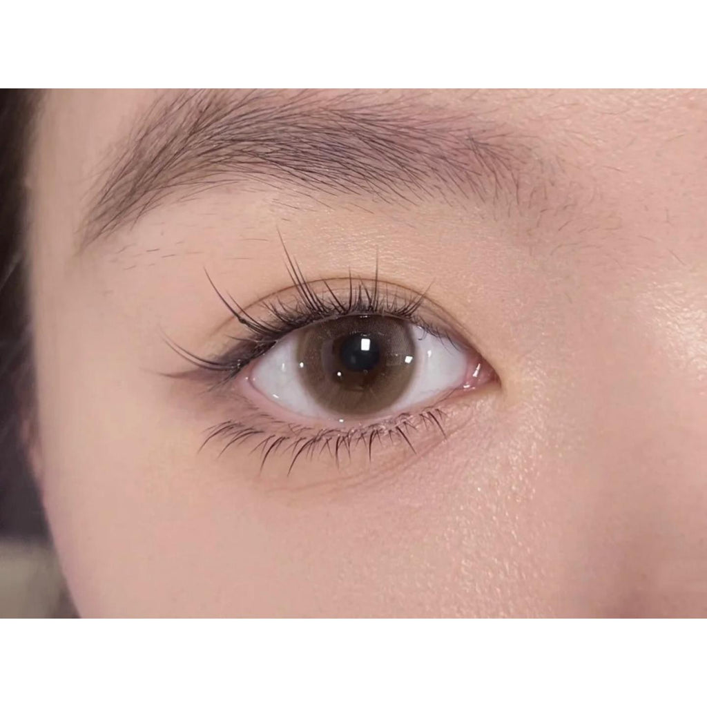 LRNLAO BOOSCON 14.20mm Brown Colored Contact Lenses (6 Months Wear)