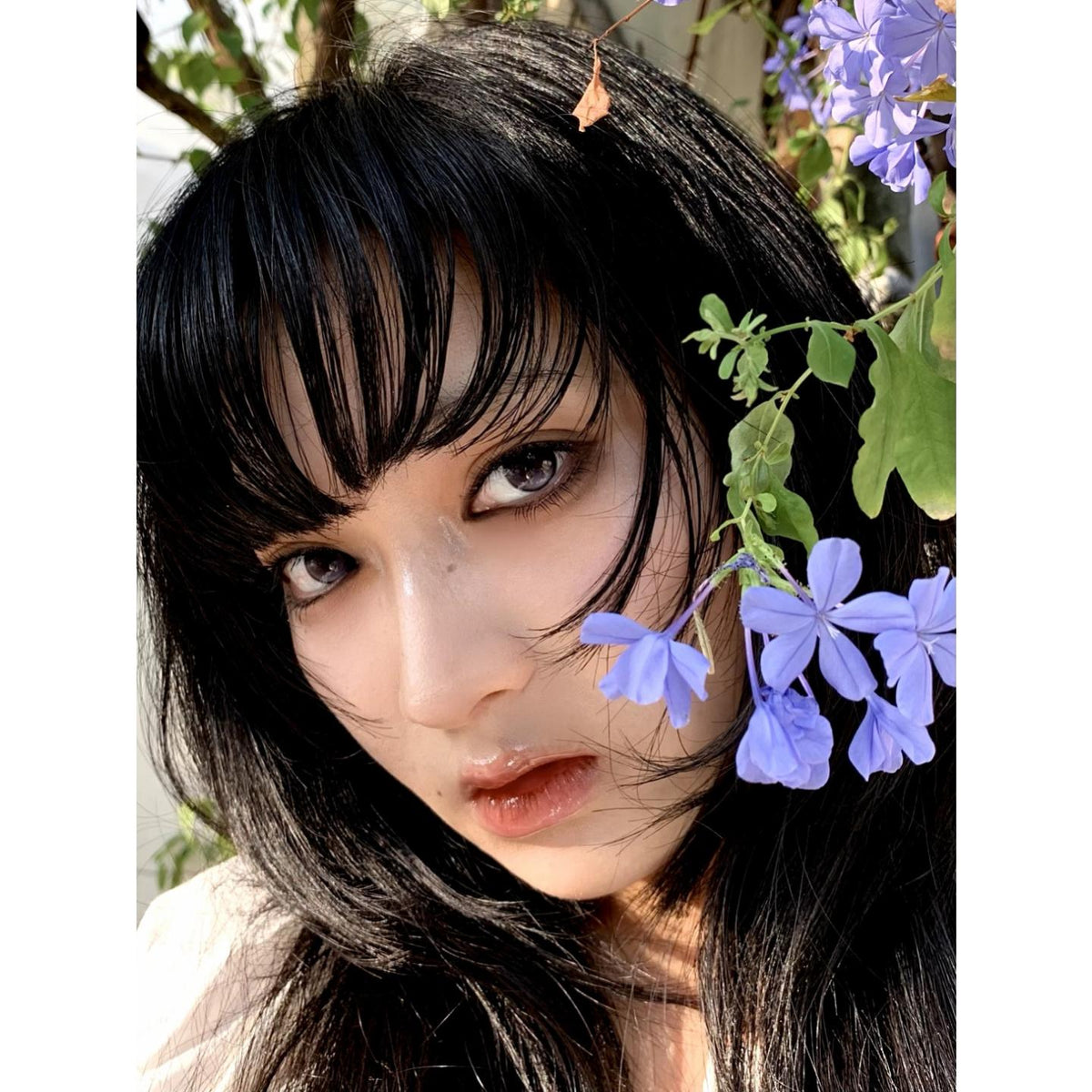 YLPMO thestarlens 14.50mm Purple Colored Contact Lenses (6 Months Wear)