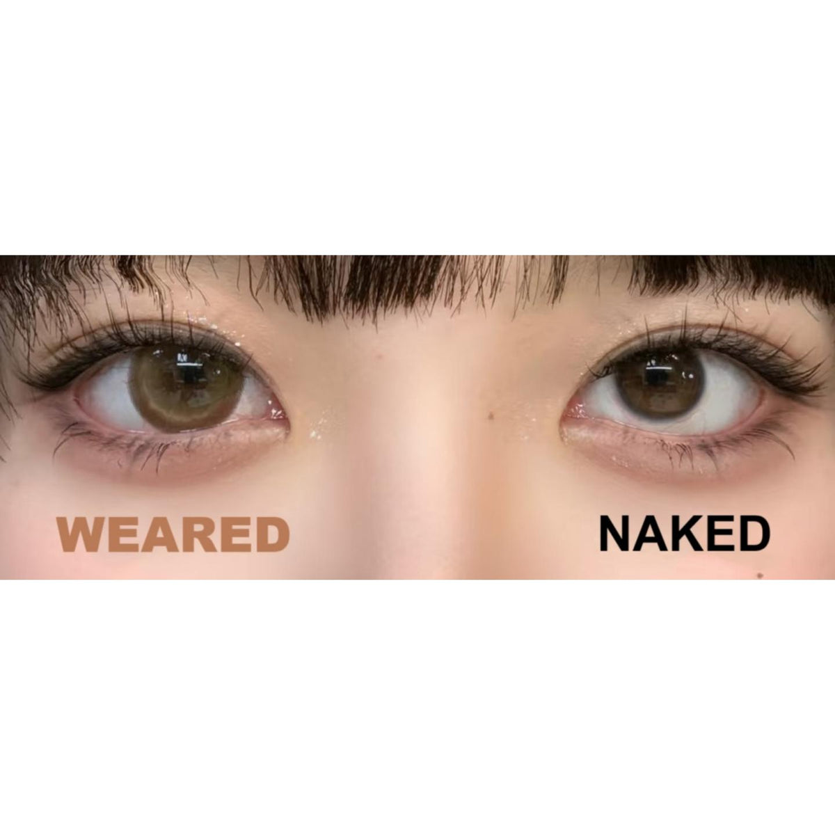 JZQPSHUI ROSELENS 14.50mm Brown Colored Contact Lenses (6 Months Wear)