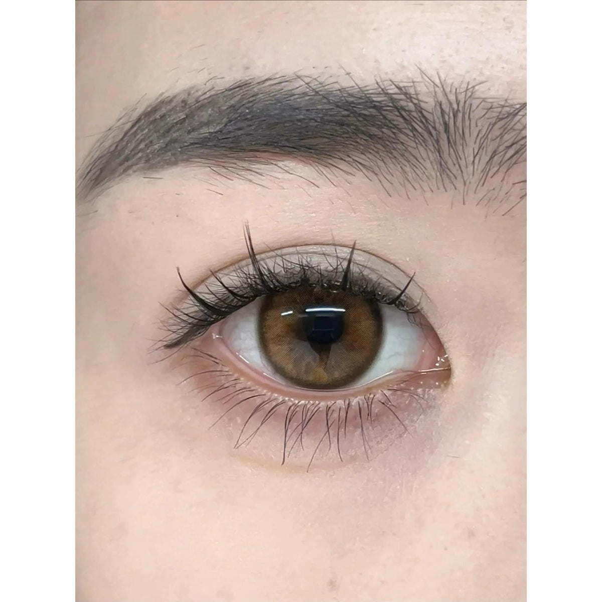 MGHPO OBALEN คอนแทคเลนส์สีน้ำตาล ขนาด 14.50 มม. (ชนิดราย 6 เดือน)