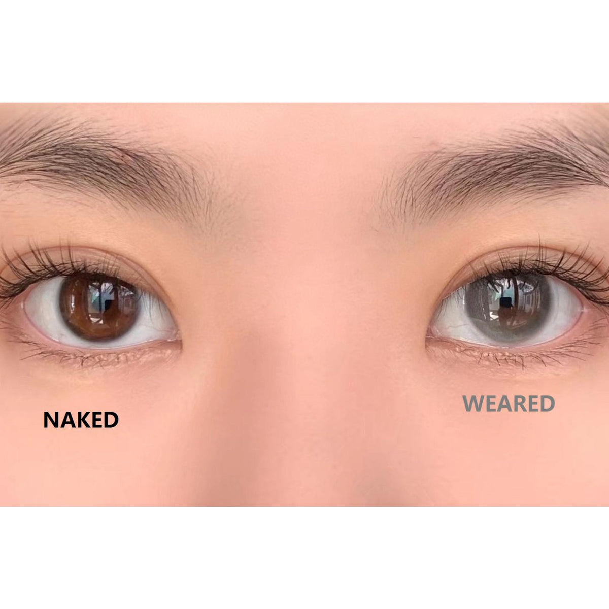 XPPAO MorningCon 14.00mm Gray Colored Contact Lenses (6 Months Wear)