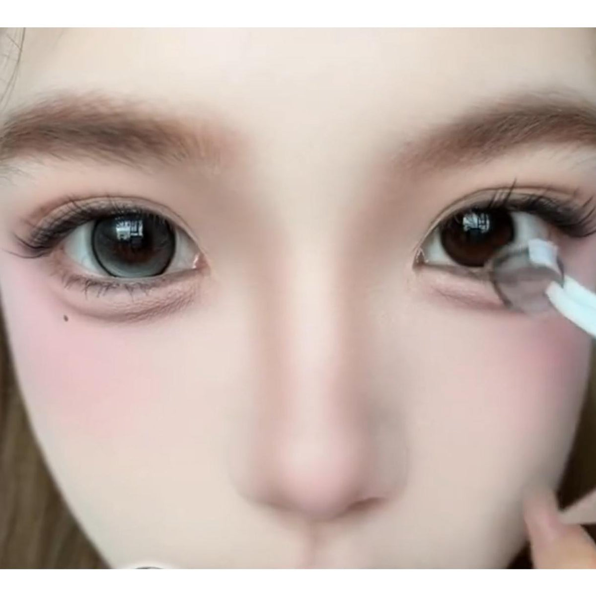 XBTANG thestarlens 14.20mm Gray Colored Contact Lenses (6 Months Wear)
