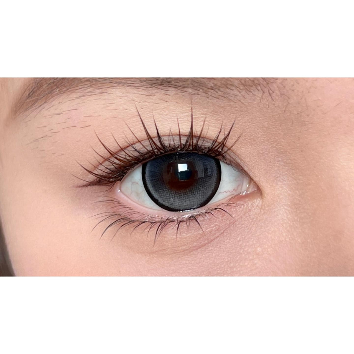 JXALAO thestarlens คอนแทคเลนส์สีเทา ขนาด 14.50 มม. (ระยะเวลาการใช้งาน 6 เดือน)