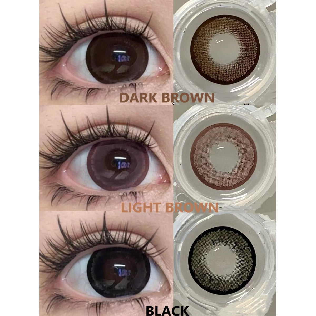 MNMKA FLLYCON 14.50mm Dark Brown Colored Contact Lenses (6 Months Wear)