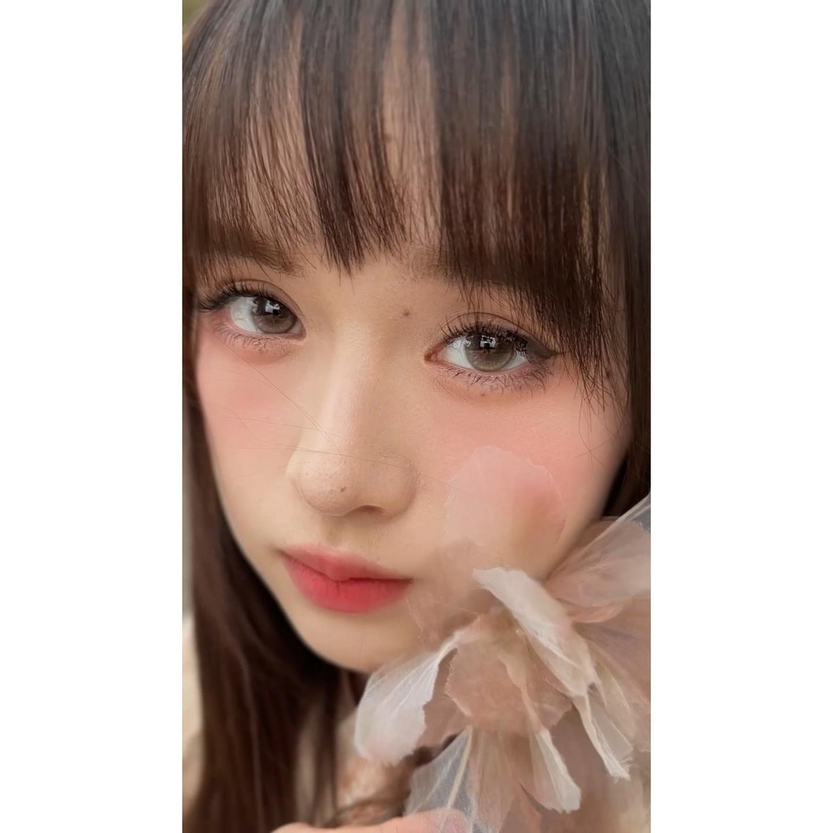 JMQJIN thestarlens 14.20mm Grey Colored Contact Lenses (6 Months Wear)