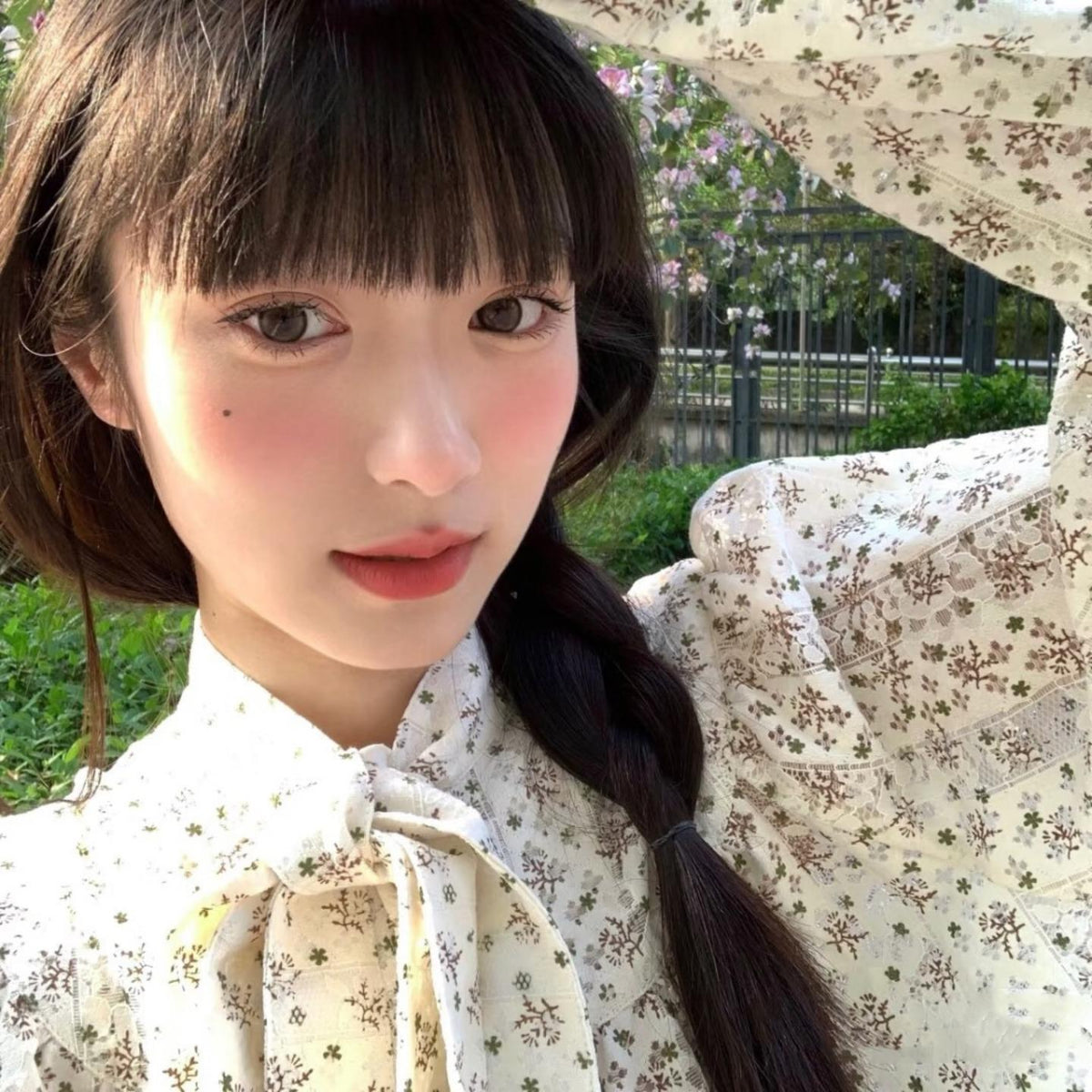 NYLMI OVOLOOK 14.20mm Brown Colored Contact Lenses (6 Months Wear)