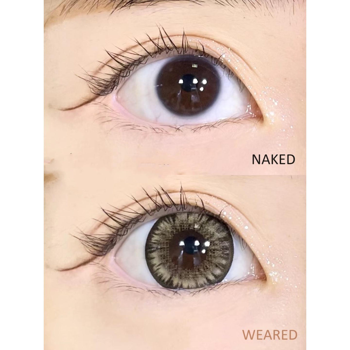 JPWLONG LRGOODCON 14.50mm Brown Colored Contact Lenses (6 Months Wear)