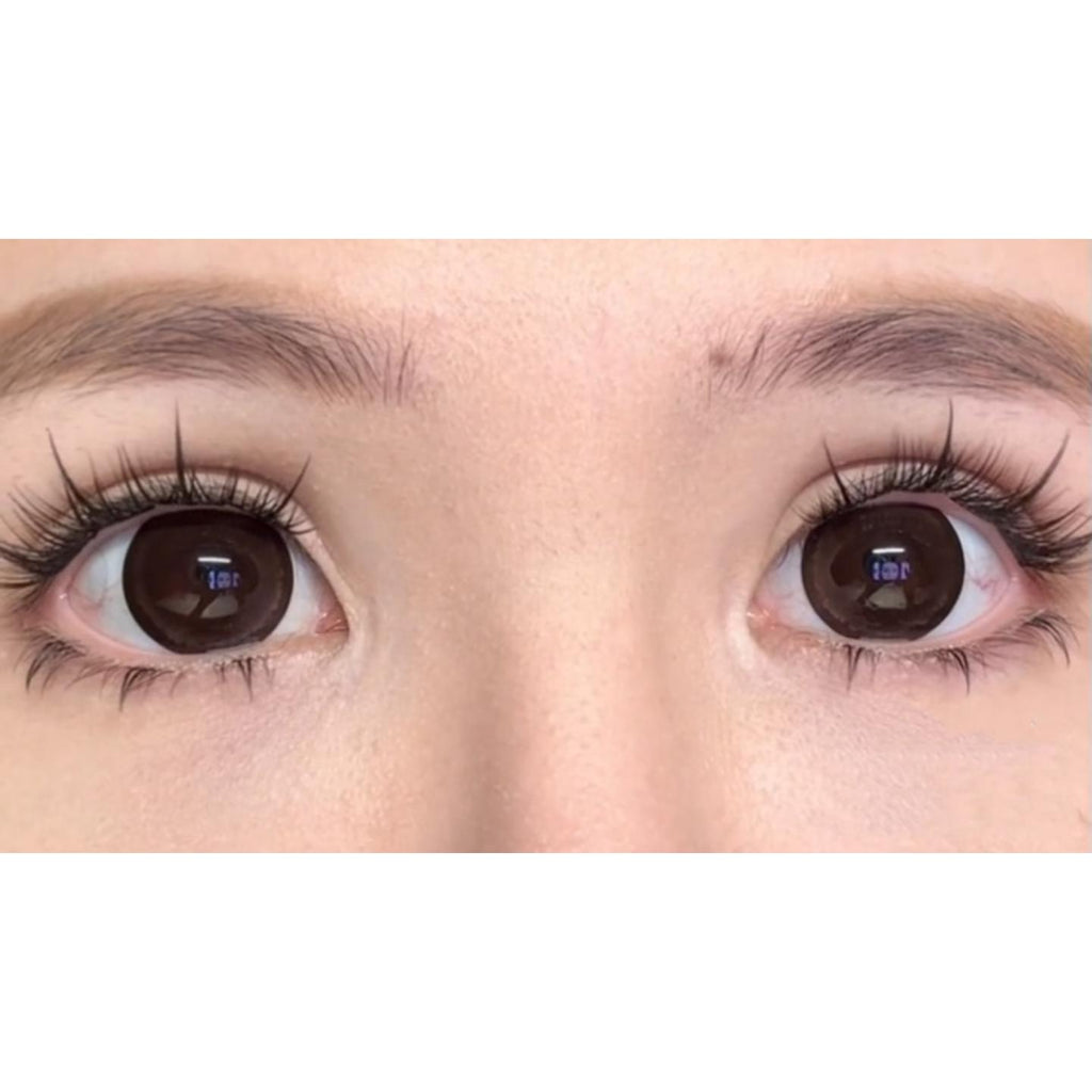 MNMKA FLLYCON 14.50mm Dark Brown Colored Contact Lenses (6 Months Wear)