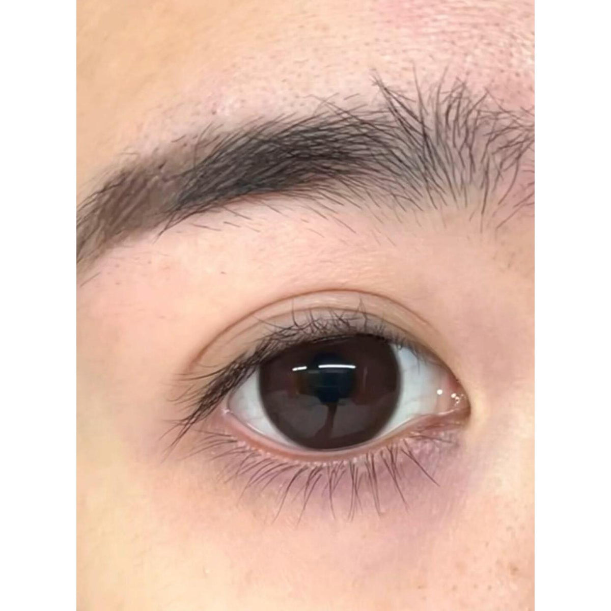 CDKANDAI OBALEN 14.50mm Brown Colored Contact Lenses (6 Months Wear)