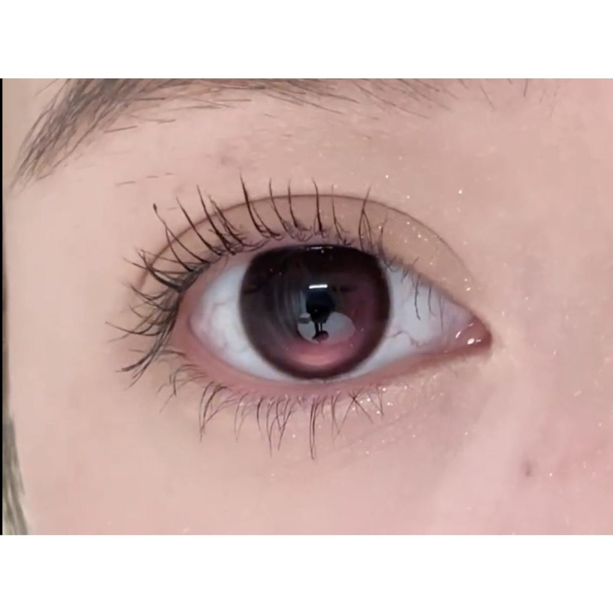 WRMI thestarlens 14.50mm Pink Colored Contact Lenses (6 Months Wear)