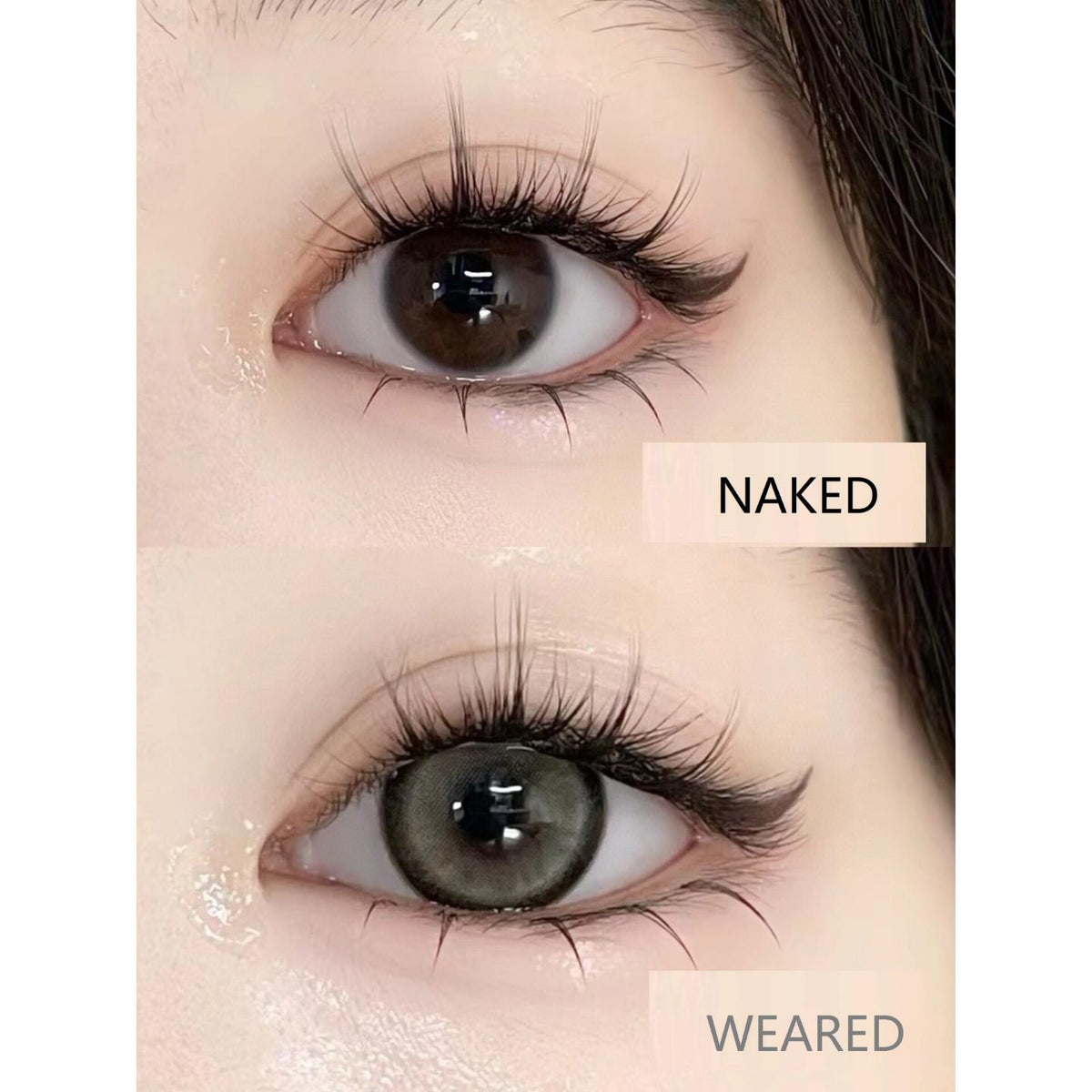 NYMI MorningCon 14.20mm Gray Colored Contact Lenses (6 Months Wear)