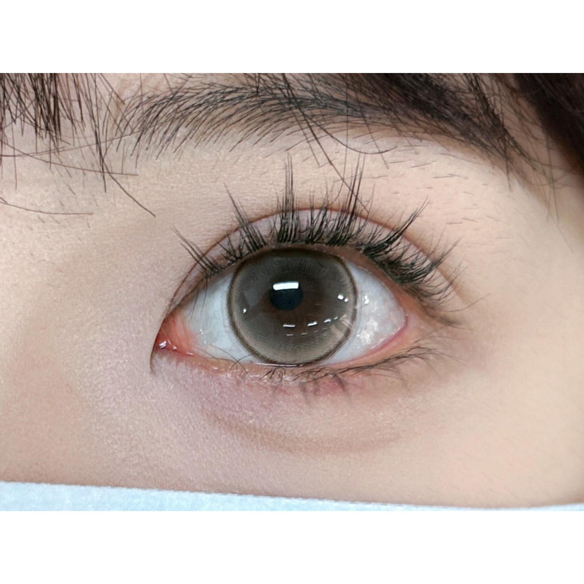 KLXGOU BOOSCON 14.20mm Brown Colored Contact Lenses (6 Months Wear)