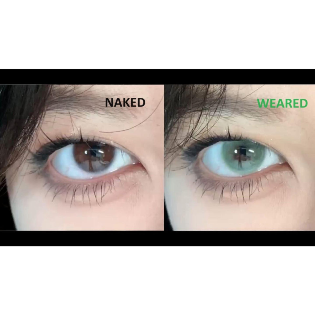 XBYBHE MorningCon 14.00mm Green Colored Contact Lenses (6 Months Wear)