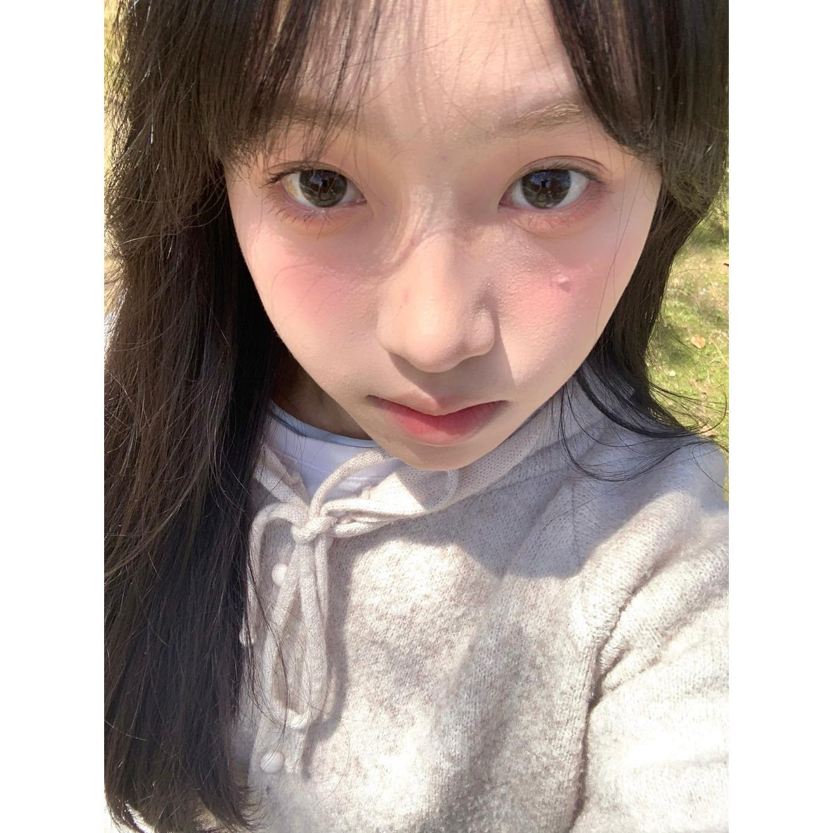 DYHEI Serltyca 14.20mm Black Colored Contact Lenses (6 Months Wear)