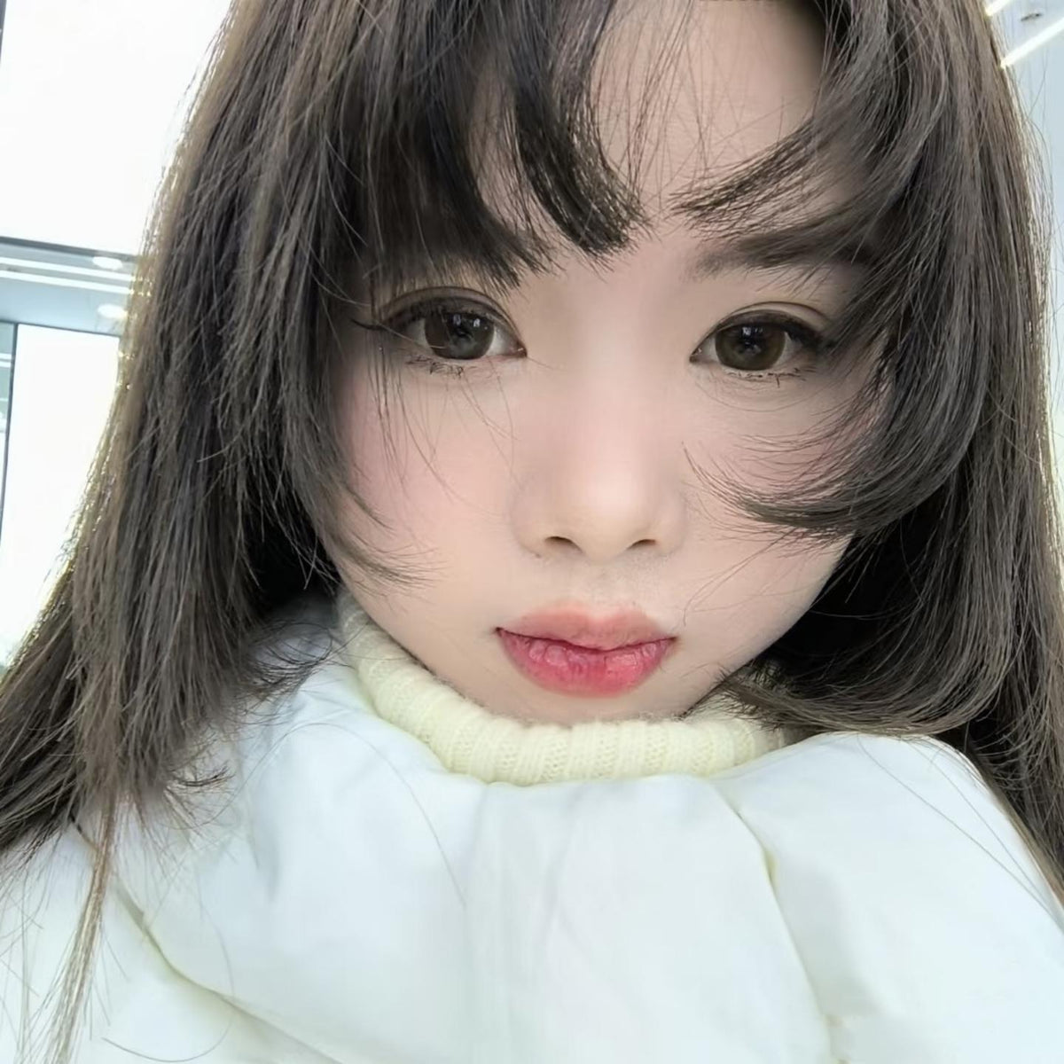 JZQPSHUI ROSELENS 14.50mm Brown Colored Contact Lenses (6 Months Wear)