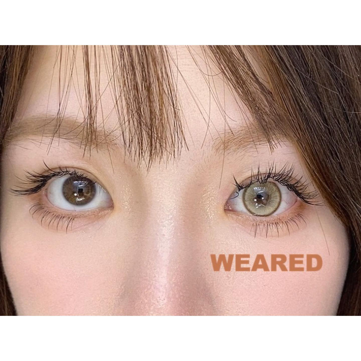 STYJZONG Serltyca 14.20mm Brown Colored Contact Lenses (6 Months Wear)