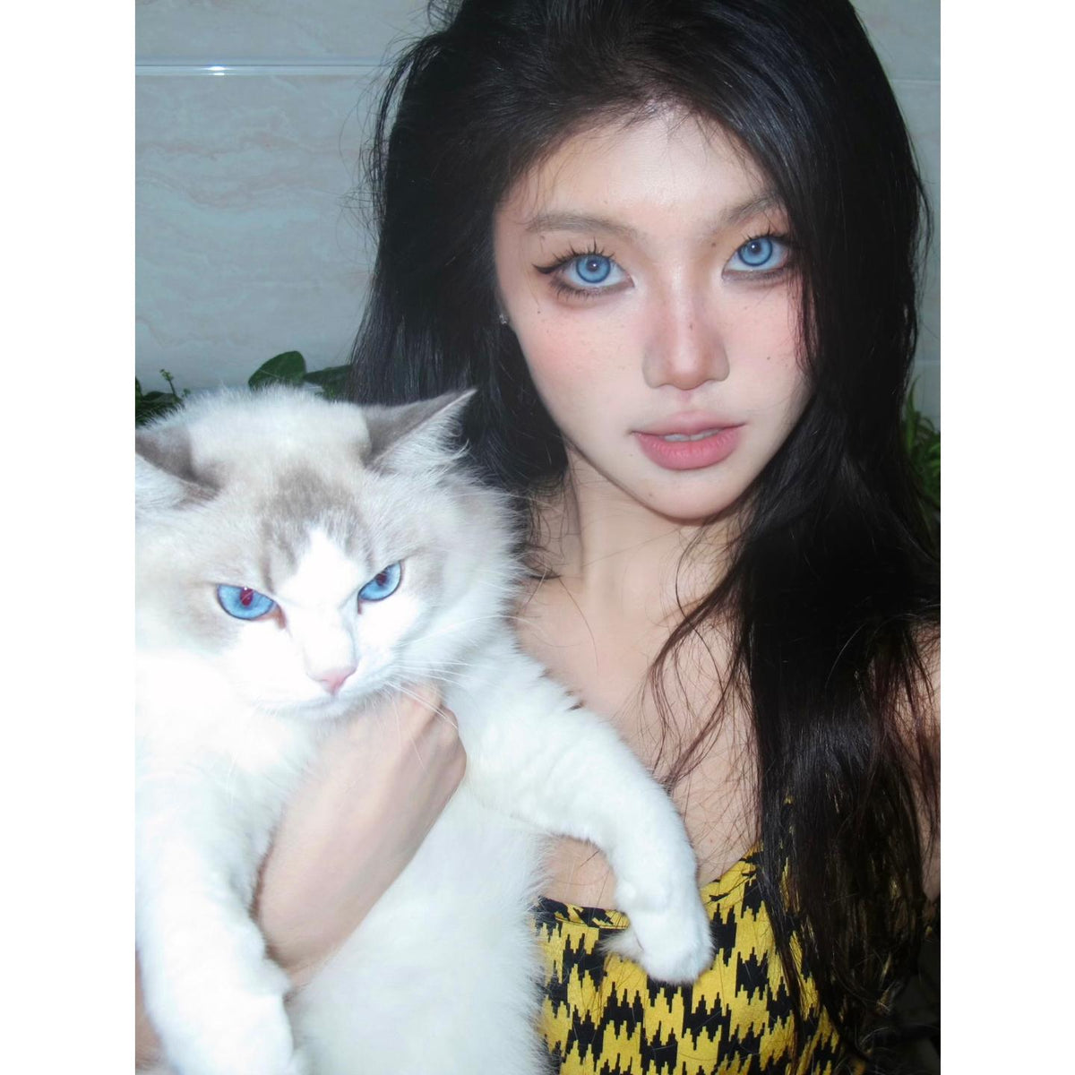 XBNHYU MorningCon 14.20mm Blue Colored Contact Lenses (6 Months Wear)