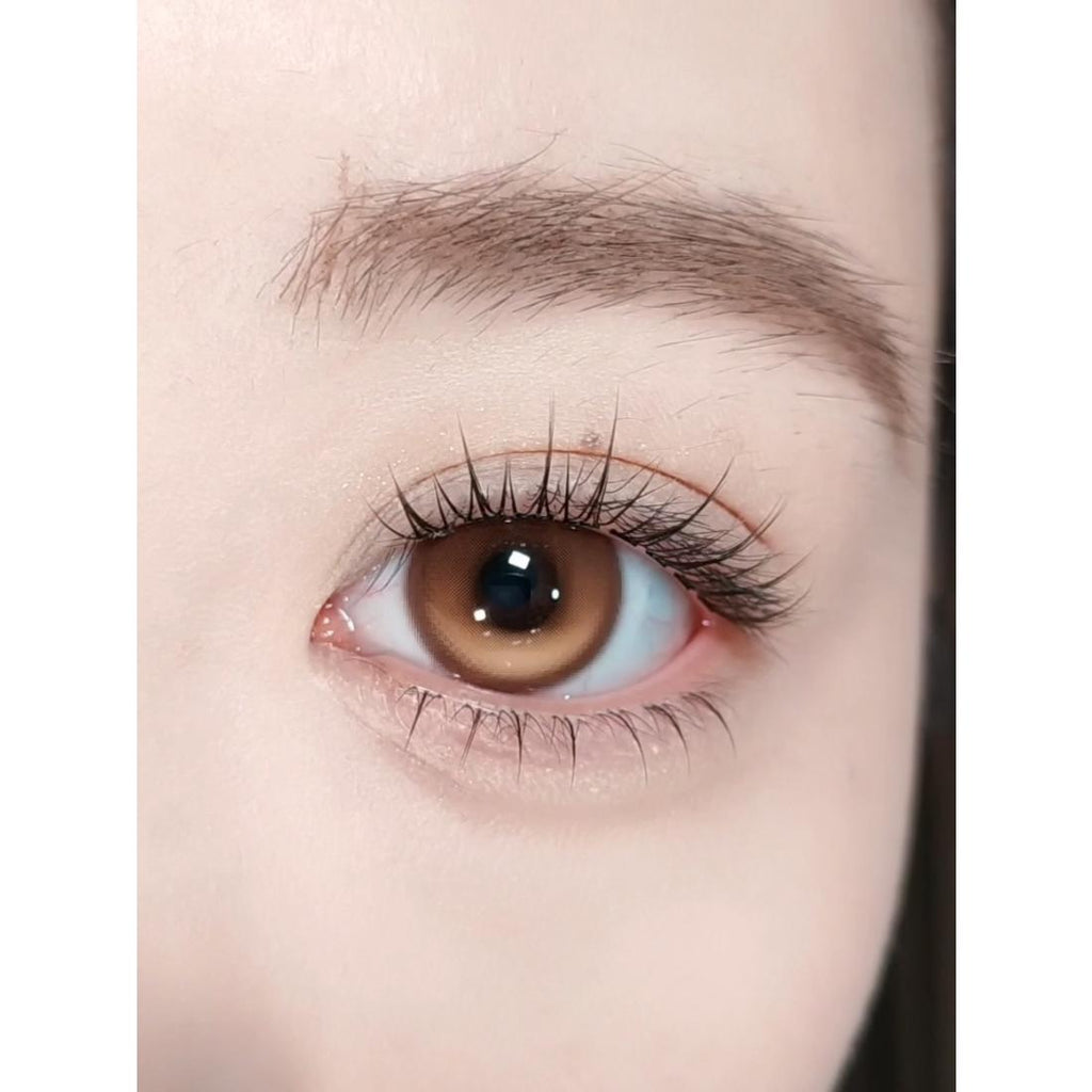 CDNGHPO OBALEN 14.50mm Brown Colored Contact Lenses (6 Months Wear)