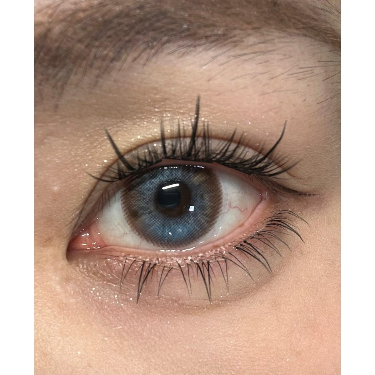 YLIN Xiyoulens 14.20mm Grey Colored Contact Lenses (6 Months Wear)