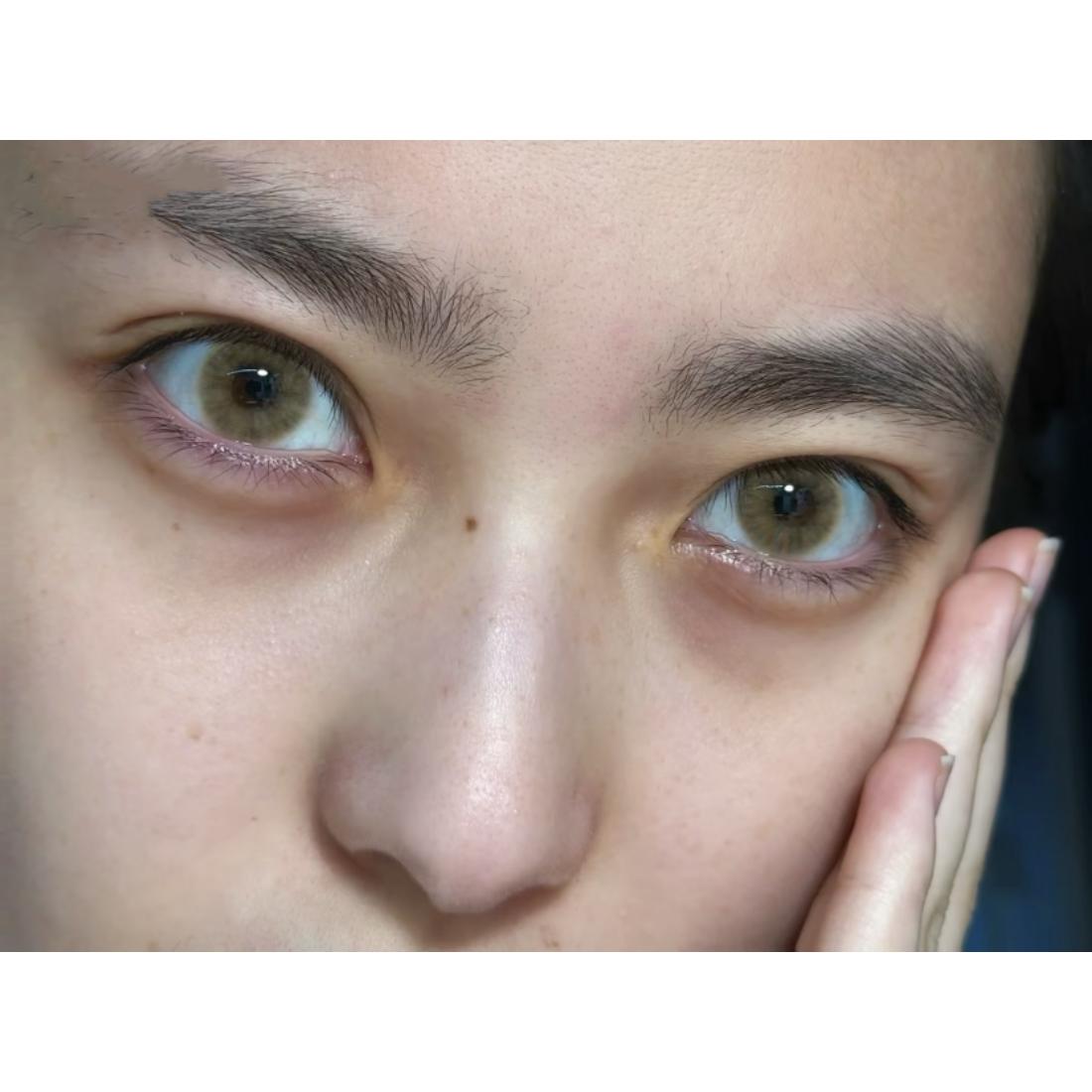 SBWFEN Serltyca 14.20mm Brown Colored Contact Lenses (6 Months Wear)