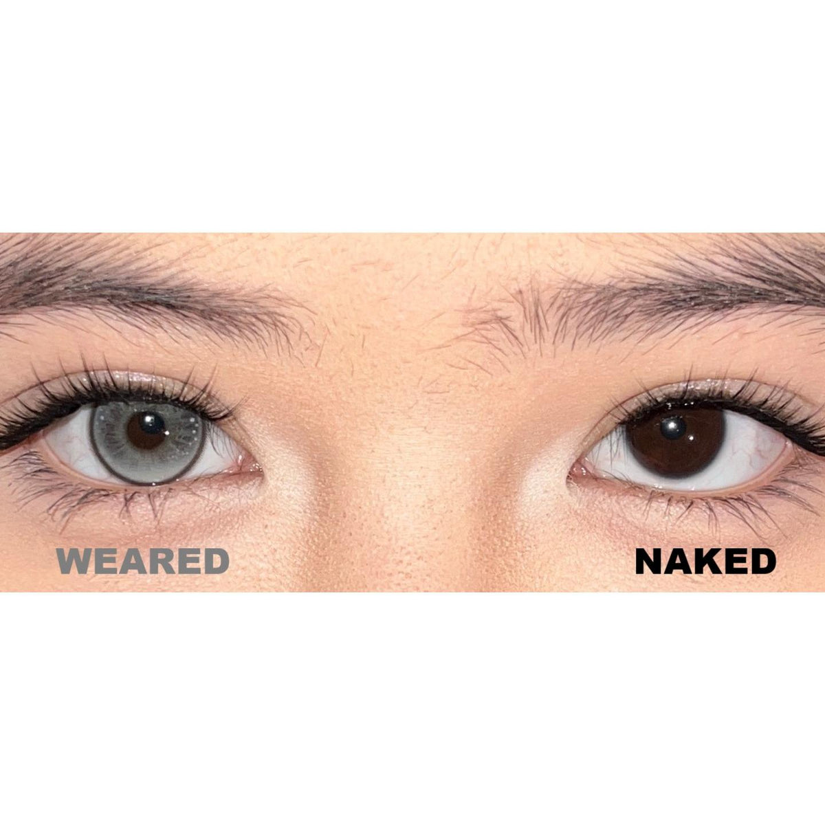 YGZHUI Serltyca 14.20mm Grey Colored Contact Lenses (6 Months Wear)