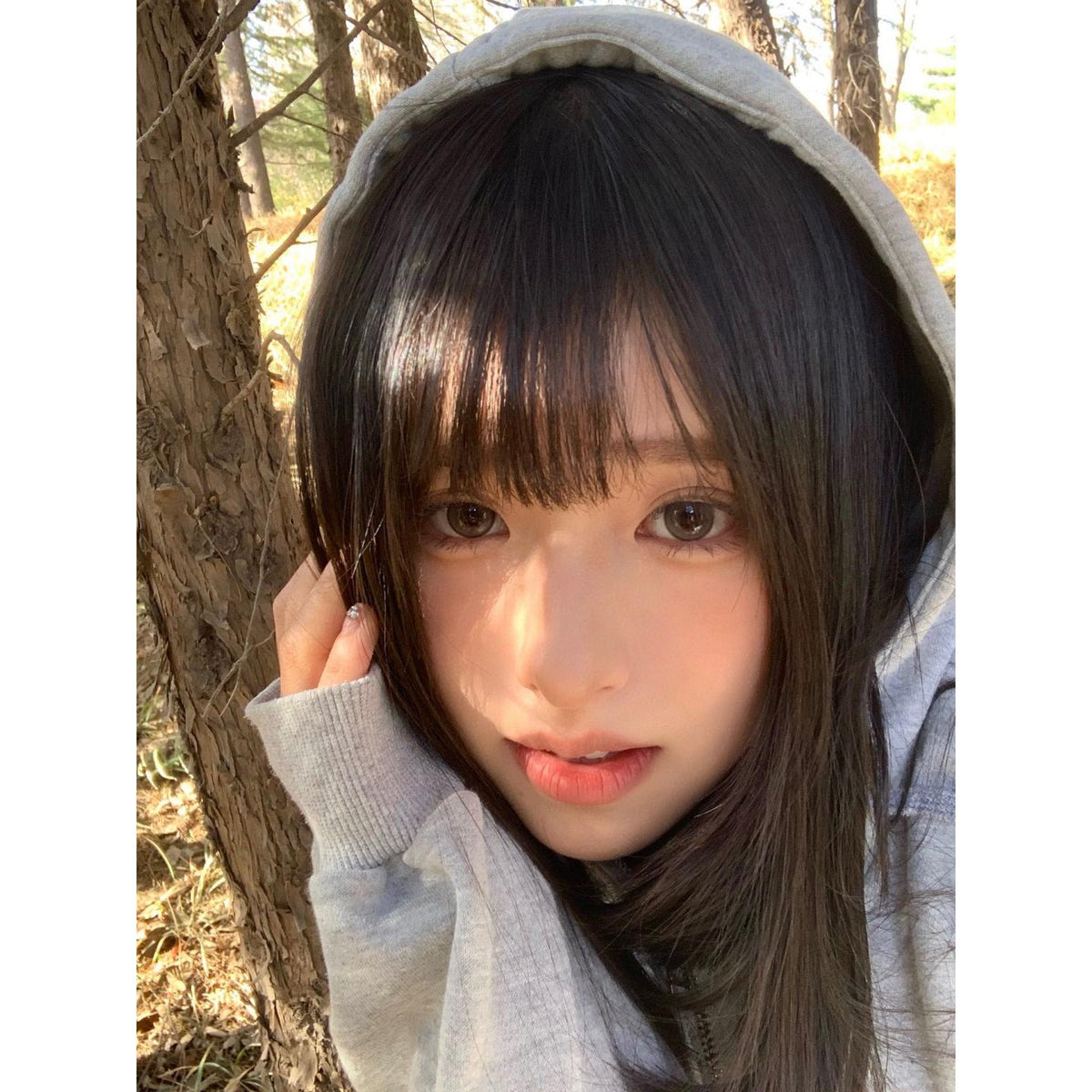 BHBNENG MorningCon 14.50mm Brown Colored Contact Lenses (6 Months Wear)
