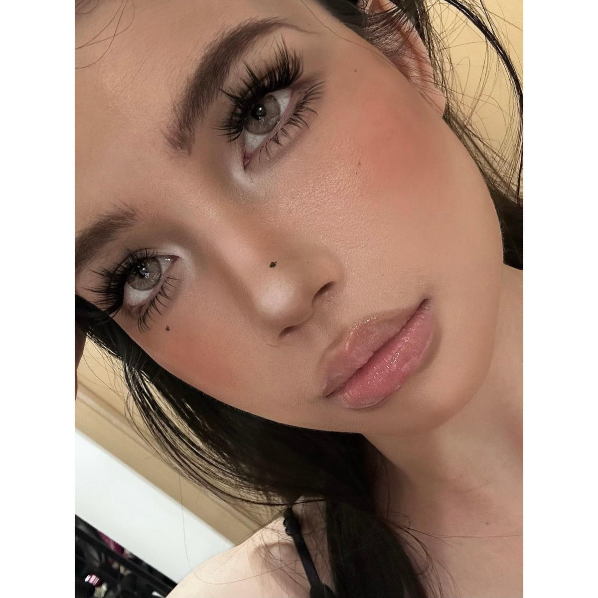 HMXZFEN Serltyca 14.20mm Brown Colored Contact Lenses (6 Months Wear)