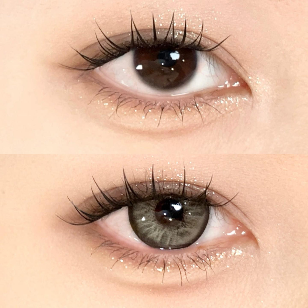 BJLSHE PORSLEN 14.50mm Grey Colored Contact Lenses (6 Months Wear)