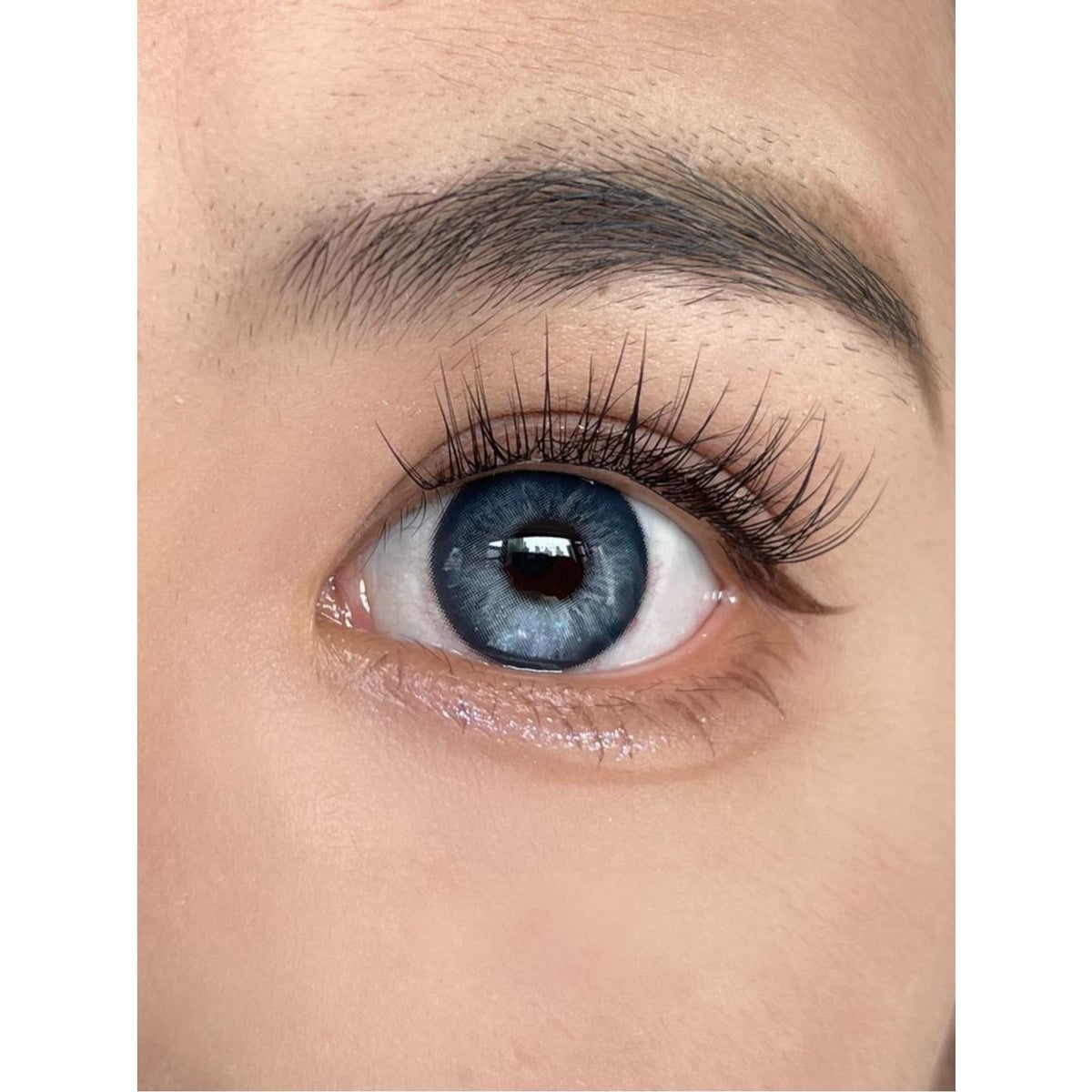 AHRYU PORSLEN 14.50mm Blue Colored Contact Lenses (6 Months Wear)