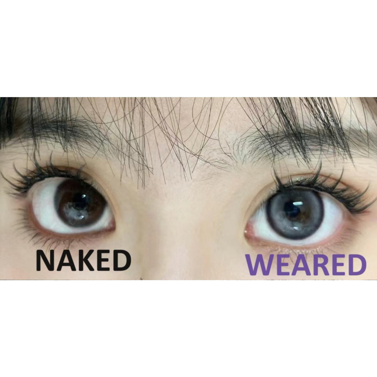 MSKDYLEI Xiyoulens 14.20mm Purple Colored Contact Lenses (6 Months Wear)