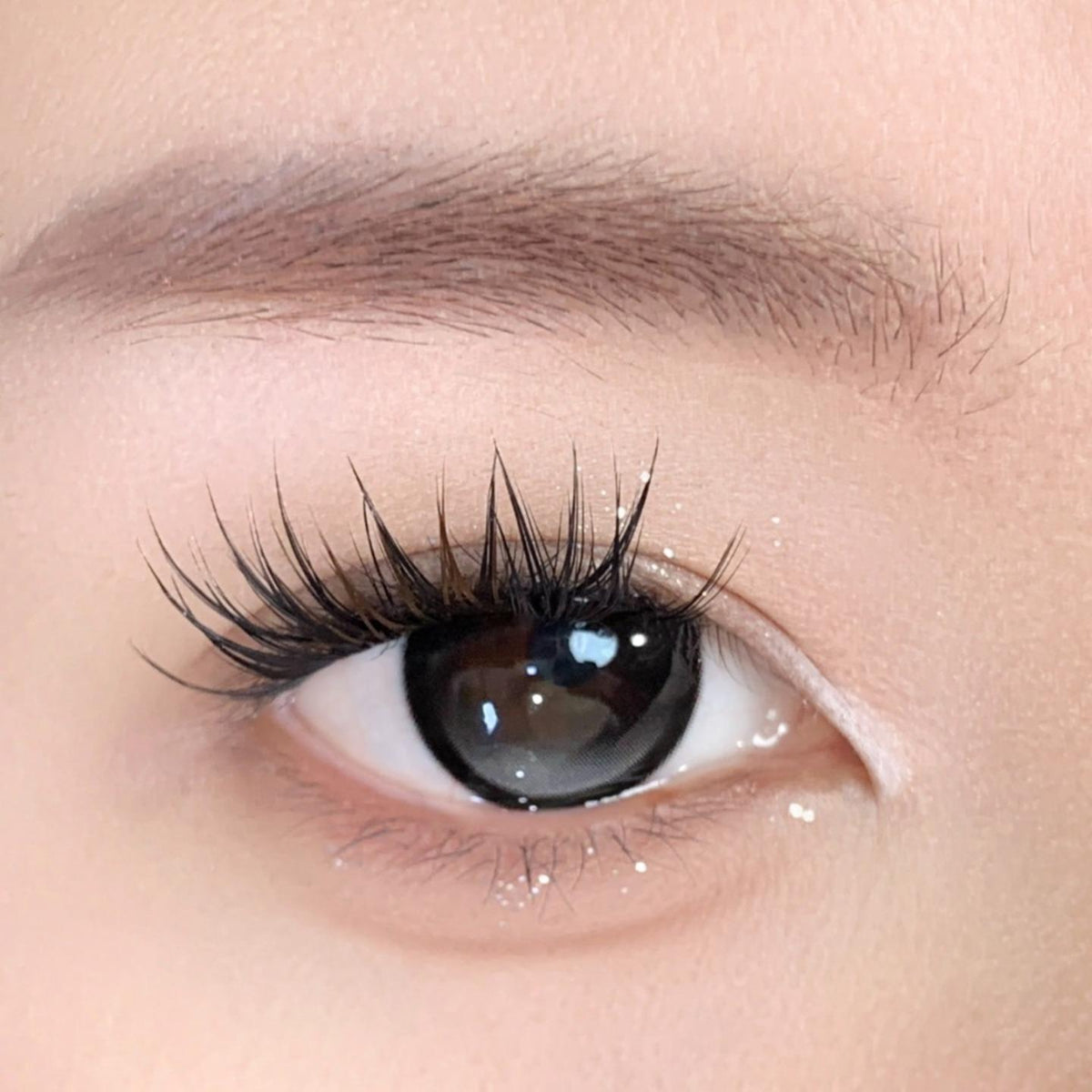 BBNRCHA thestarlens 14.50mm Black Colored Contact Lenses (6 Months Wear)