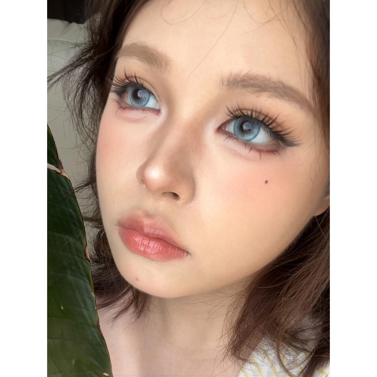 NHXXLAN Serltyca 14.20mm Blue Colored Contact Lenses (6 Months Wear)