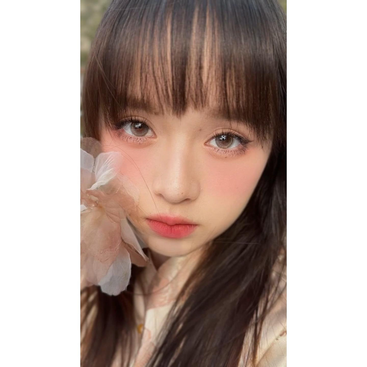 JMQJIN thestarlens 14.20mm Grey Colored Contact Lenses (6 Months Wear)
