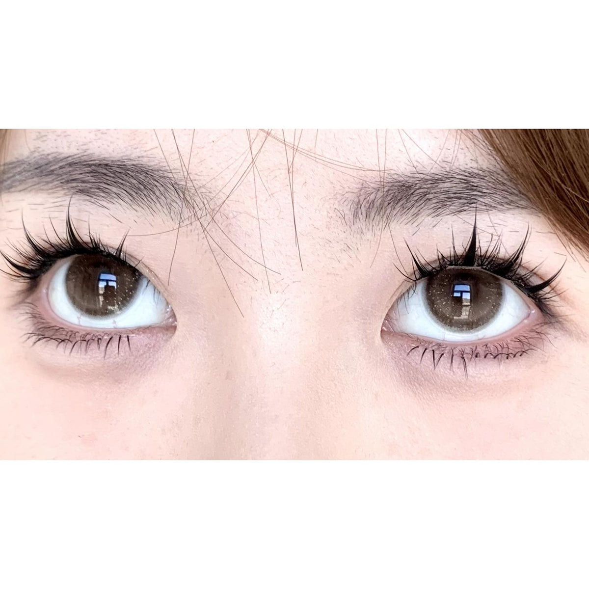 คอนแทคเลนส์สี JYNLI รุ่น thestarlens ขนาด 14.50 มม. สีน้ำตาล (ชนิดราย 6 เดือน)