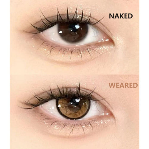 13KLA Xiyoulens 14.20mm Brown Colored Contact Lenses (6 Months Wear)