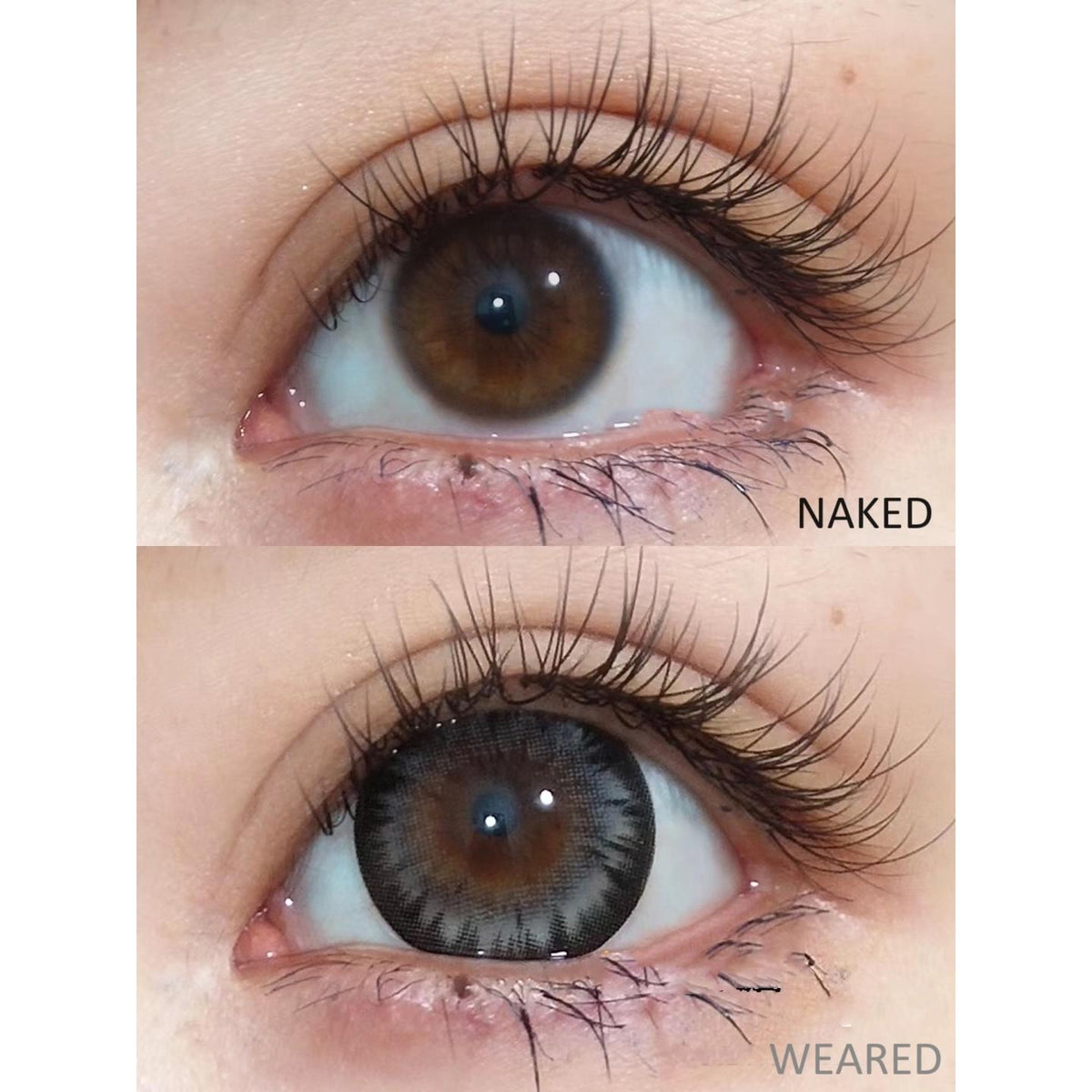 MLWLONG BOOSCON 14.50mm Gray Colored Contact Lenses (6 Months Wear)