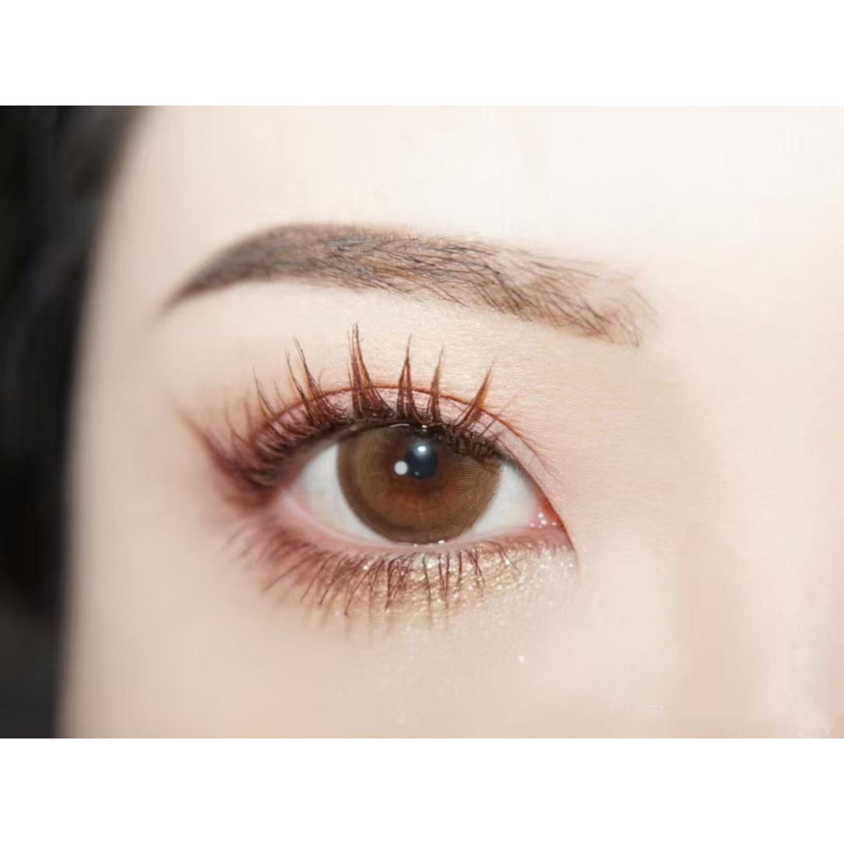 JZQPSHUI ROSELENS 14.50mm Brown Colored Contact Lenses (6 Months Wear)