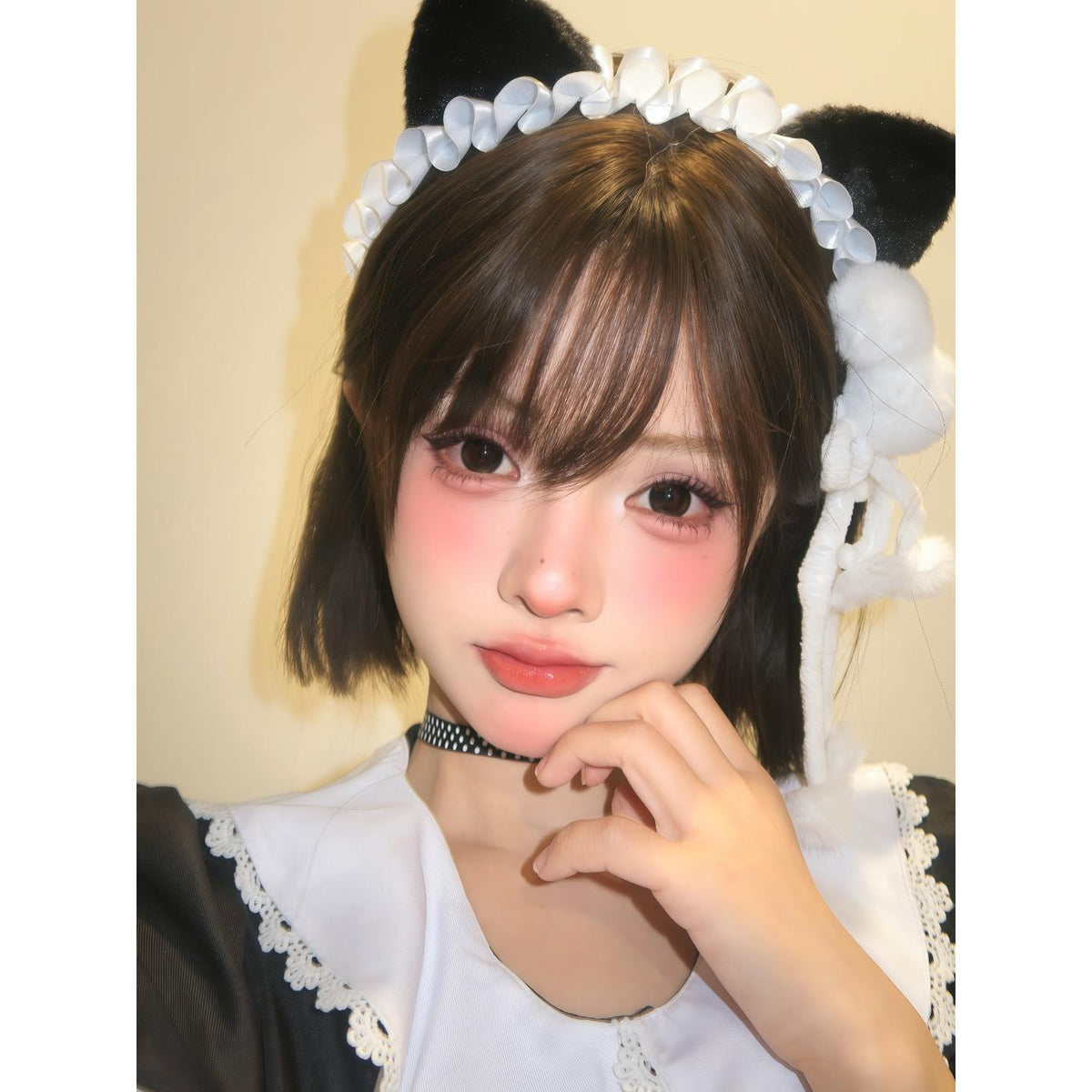 TNTGUAN thestarlens 14.50mm Brown Colored Contact Lenses (6 Months Wear)