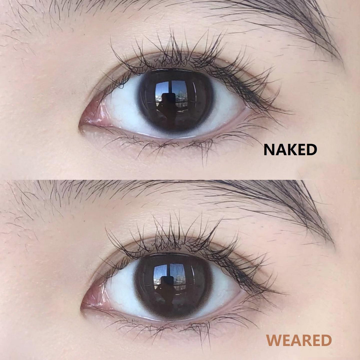 KKTANG LRGOODCON 14.20mm Brown Colored Contact Lenses (6 Months Wear)